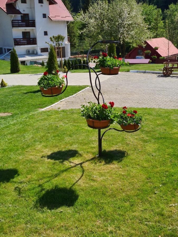 Pensiunea Andias Сучевица Экстерьер фото