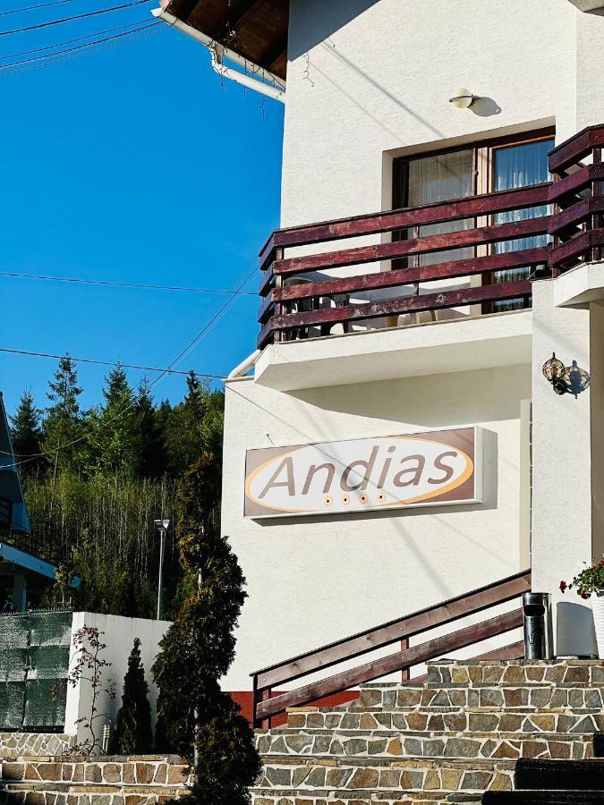 Pensiunea Andias Сучевица Экстерьер фото