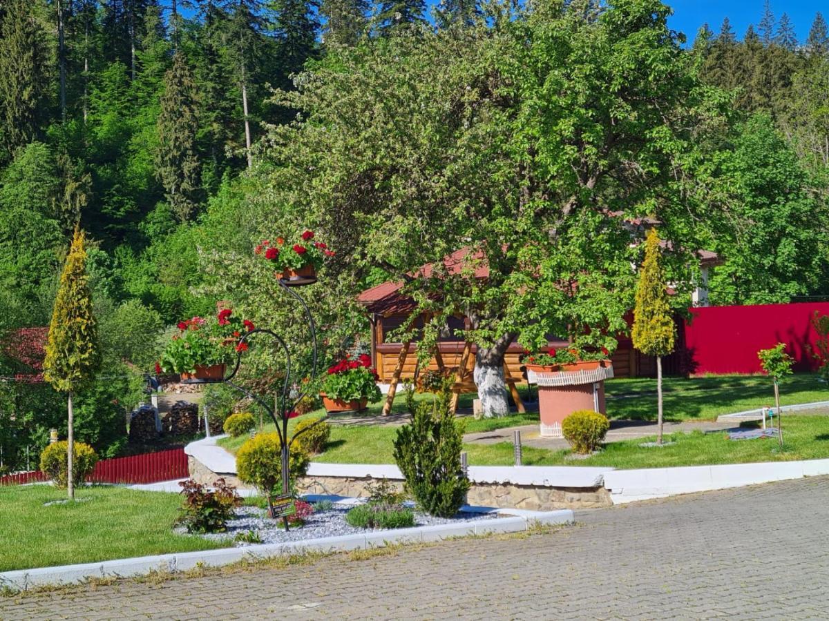 Pensiunea Andias Сучевица Экстерьер фото